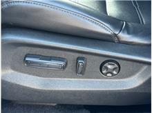 Vehicle Thumb #22