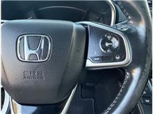 Vehicle Thumb #25
