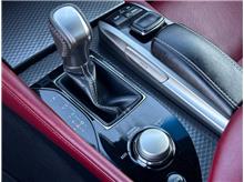 Vehicle Thumb #28