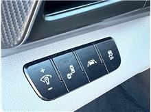 Vehicle Thumb #20