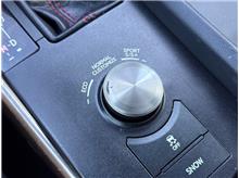 Vehicle Thumb #29