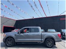 Vehicle Thumb #4