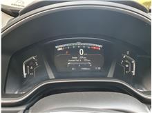 Vehicle Thumb #11