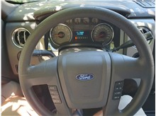 Vehicle Thumb #12