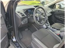 Vehicle Thumb #14