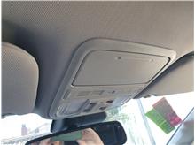Vehicle Thumb #22