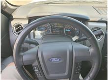 Vehicle Thumb #10