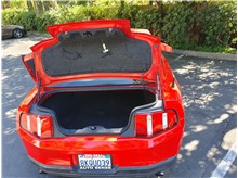 Vehicle Thumb #14