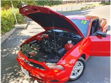 Vehicle Thumb #16