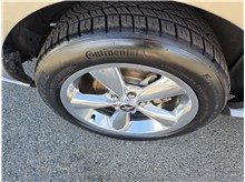 Vehicle Thumb #21