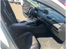 Vehicle Thumb #13