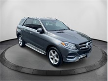 Vehicle Thumb #3