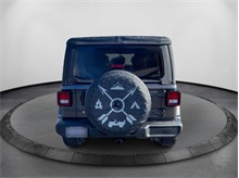 Vehicle Thumb #6