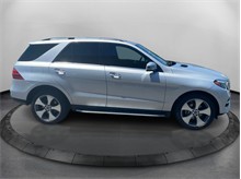 Vehicle Thumb #4