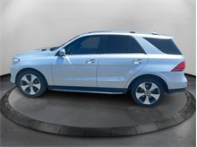 Vehicle Thumb #8