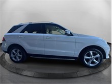 Vehicle Thumb #4