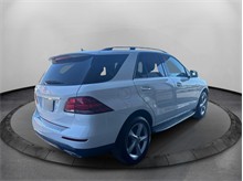 Vehicle Thumb #5