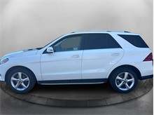 Vehicle Thumb #8