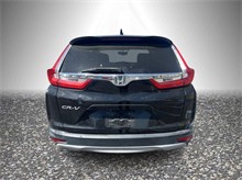 Vehicle Thumb #4