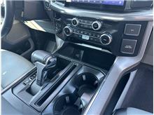 Vehicle Thumb #14