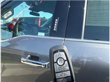 Vehicle Thumb #21