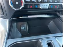 Vehicle Thumb #32