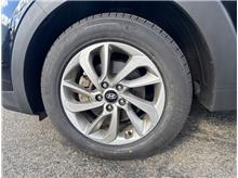 Vehicle Thumb #16