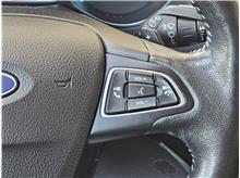 Vehicle Thumb #11