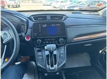 Vehicle Thumb #11