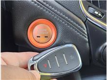 Vehicle Thumb #11