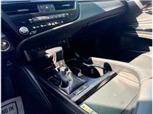 Vehicle Thumb #14