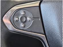 Vehicle Thumb #10