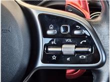 Vehicle Thumb #10
