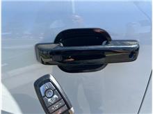 Vehicle Thumb #43