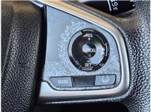Vehicle Thumb #11