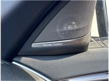 Vehicle Thumb #24