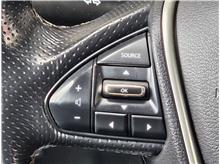 Vehicle Thumb #13