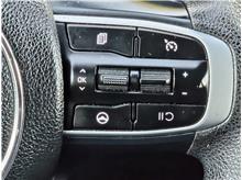 Vehicle Thumb #11