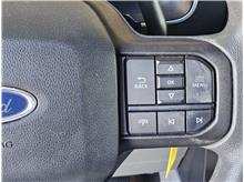 Vehicle Thumb #10