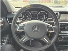 Vehicle Thumb #13