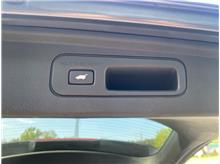 Vehicle Thumb #17