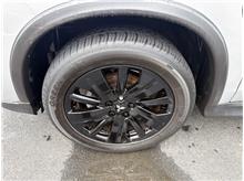 Vehicle Thumb #16