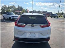 Vehicle Thumb #6