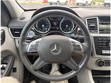 Vehicle Thumb #16