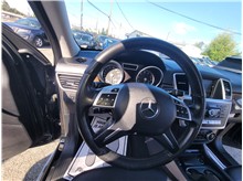 Vehicle Thumb #19