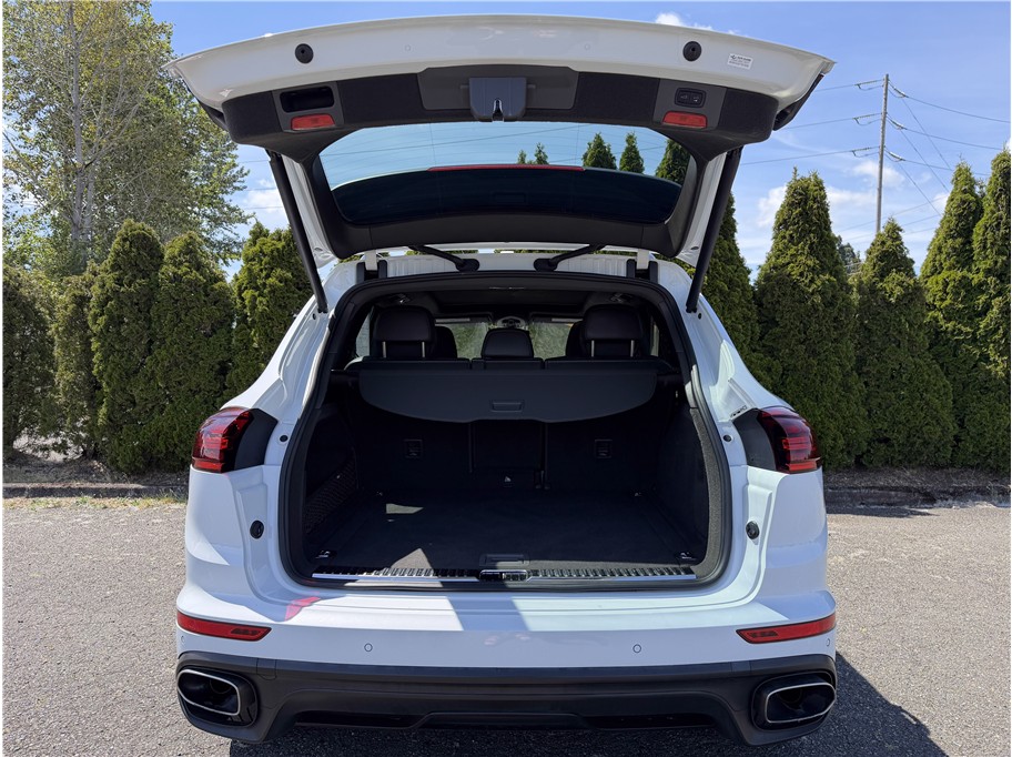 2017 Porsche Cayenne Platinum Edition - Photo 11