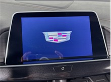 Vehicle Thumb #38