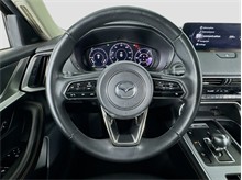 Vehicle Thumb #15