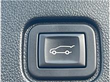 Vehicle Thumb #18