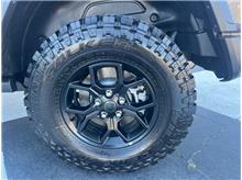 Vehicle Thumb #24